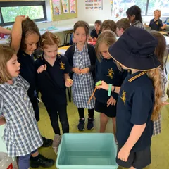 children gathered around a tub, about to perform an experiment
