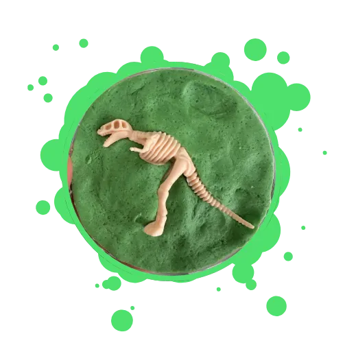 Safari Party Package