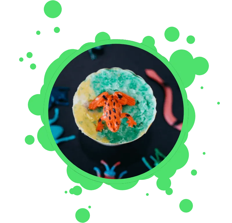 a frog in a bath bomb