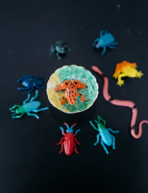 A frog in a bath bomb